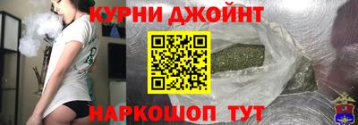 шишки Гай