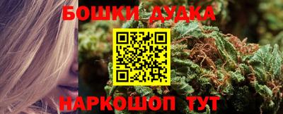 эйфоретик Гатчина
