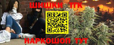 шишки Гай