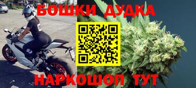 шишки Гай