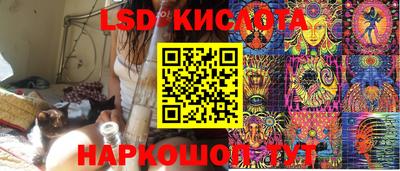 шишки Гай